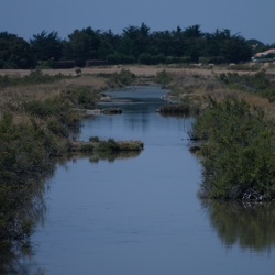 Oléron